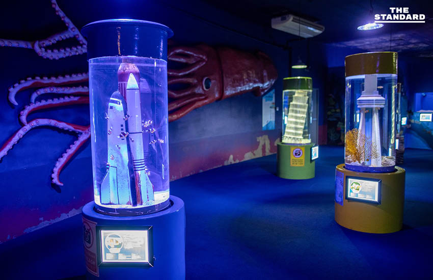 สวนสัตว์เชียงใหม่เปิดประสบการณ์ Night Aquarium ผสมผสานโลกใต้น้ำกับงานศิลปะแบบ Immersive 7