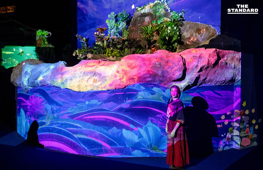 สวนสัตว์เชียงใหม่เปิดประสบการณ์ Night Aquarium ผสมผสานโลกใต้น้ำกับงานศิลปะแบบ Immersive 8