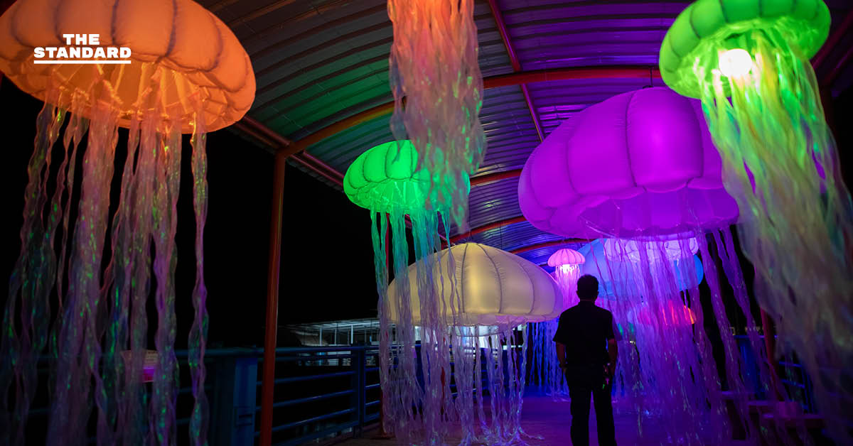 สวนสัตว์เชียงใหม่เปิดประสบการณ์ Night Aquarium ผสมผสานโลกใต้น้ำกับงานศิลปะแบบ Immersive