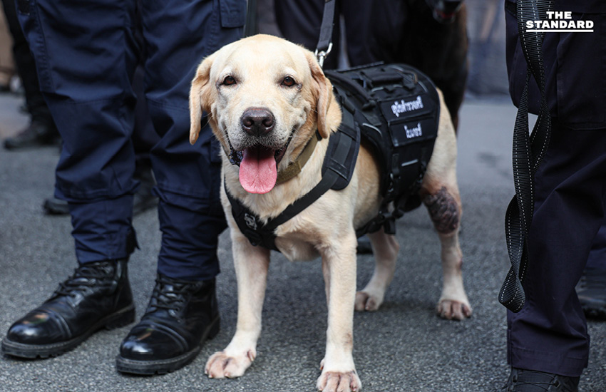 รอง ผบ.ตร. ปล่อยแถวระดมพล 1 หมื่นนาย คุมเข้มเคาท์ดาวน์ทั่วกรุงฯ 10