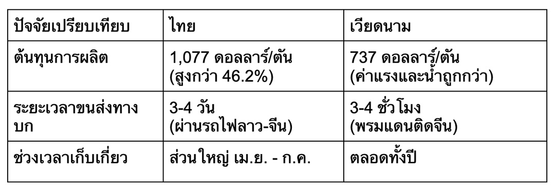 อวสานยุคทอง ‘ทุเรียนร้อยบาท’? เมื่อไทยถูกขนาบข้างด้วยสงครามราคา **เวียดนาม** และมาตรฐานใหม่ตลาด **จีน** 1