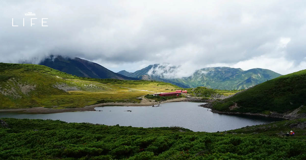 LIST: 12 รูทเดินเทรลทั่วญี่ปุ่นที่สามารถแวะไปชมธรรมชาติได้ตลอดทั้งปี