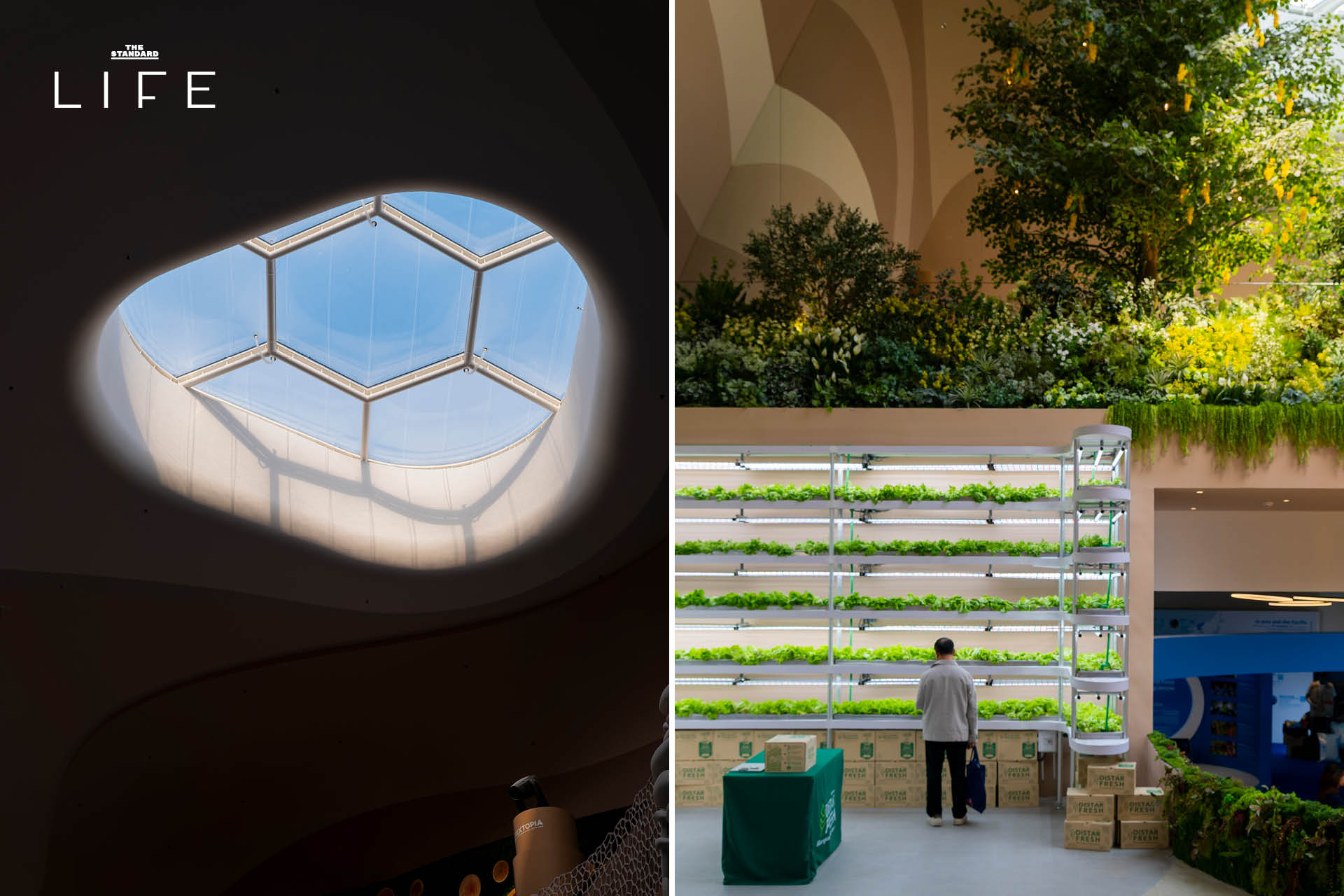 NEXTOPIA เมืองต้นแบบแห่งโลกอนาคต ที่คุณไม่เคยพบ 9