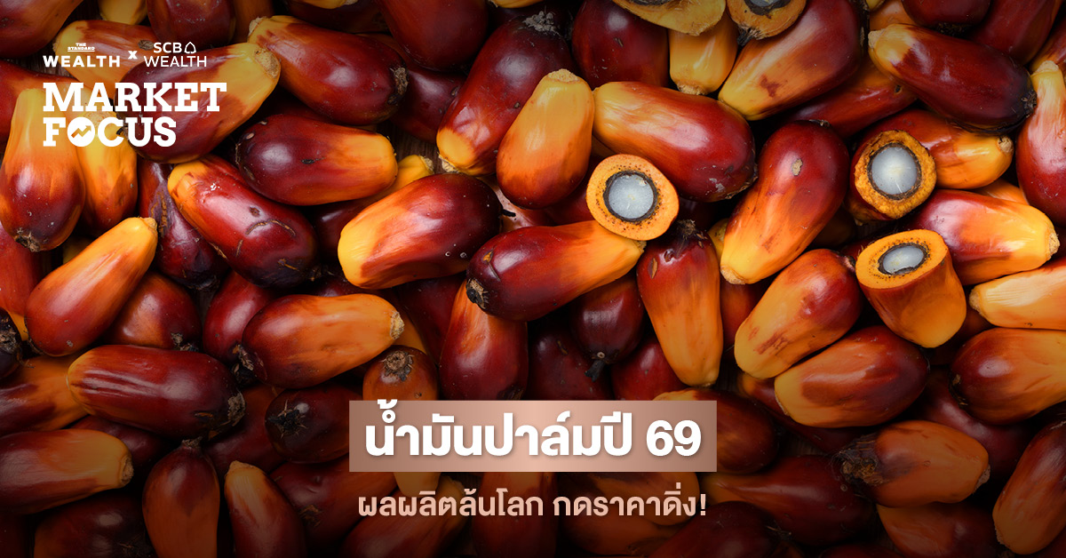 SCB EIC ชี้อุตสาหกรรมน้ำมันปาล์มปี 2026 หดตัว คาดราคาดิ่ง 6.8%YOY แม้ผลผลิตและอุปสงค์ในประเทศโต