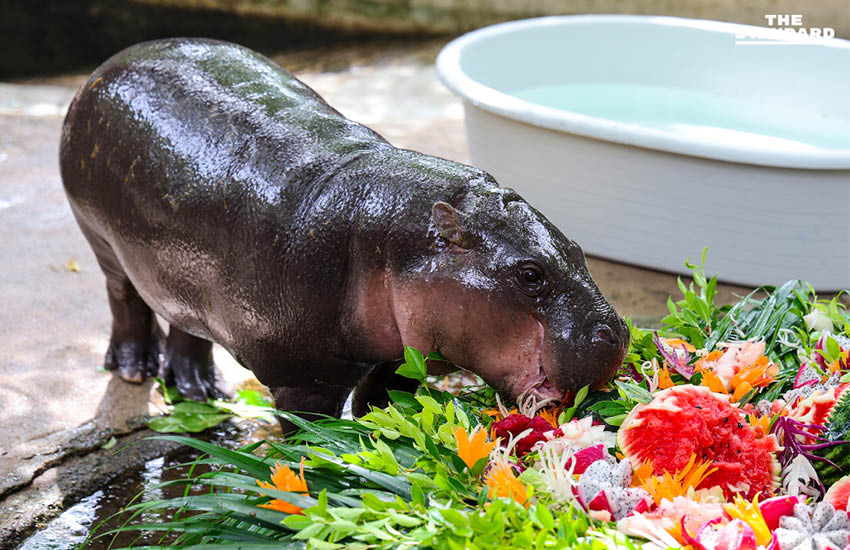 ภาพข่าวแห่งปี 2568 ผ่านชัตเตอร์ของช่างภาพ THE STANDARD 100