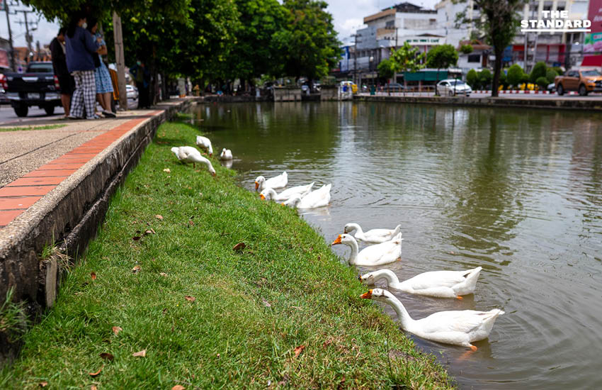 ภาพข่าวแห่งปี 2568 ผ่านชัตเตอร์ของช่างภาพ THE STANDARD 116