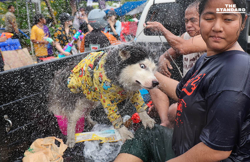 ภาพข่าวแห่งปี 2568 ผ่านชัตเตอร์ของช่างภาพ THE STANDARD 72