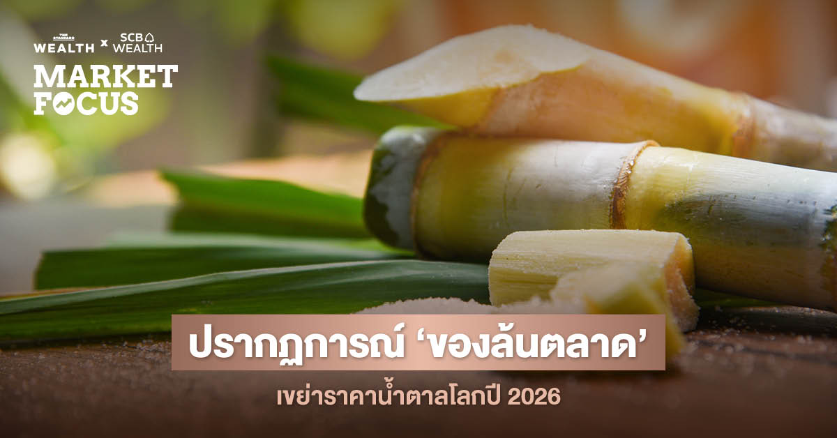 เจาะลึกอุตสาหกรรมน้ำตาลปี 2026 พลิกกลับมาหดตัว 9% รับราคาน้ำตาลโลกดิ่งต่ำ หลังอินเดียผลิตล้น-พิษภาษีทรัมป์ฉุดดีมานด์โลก