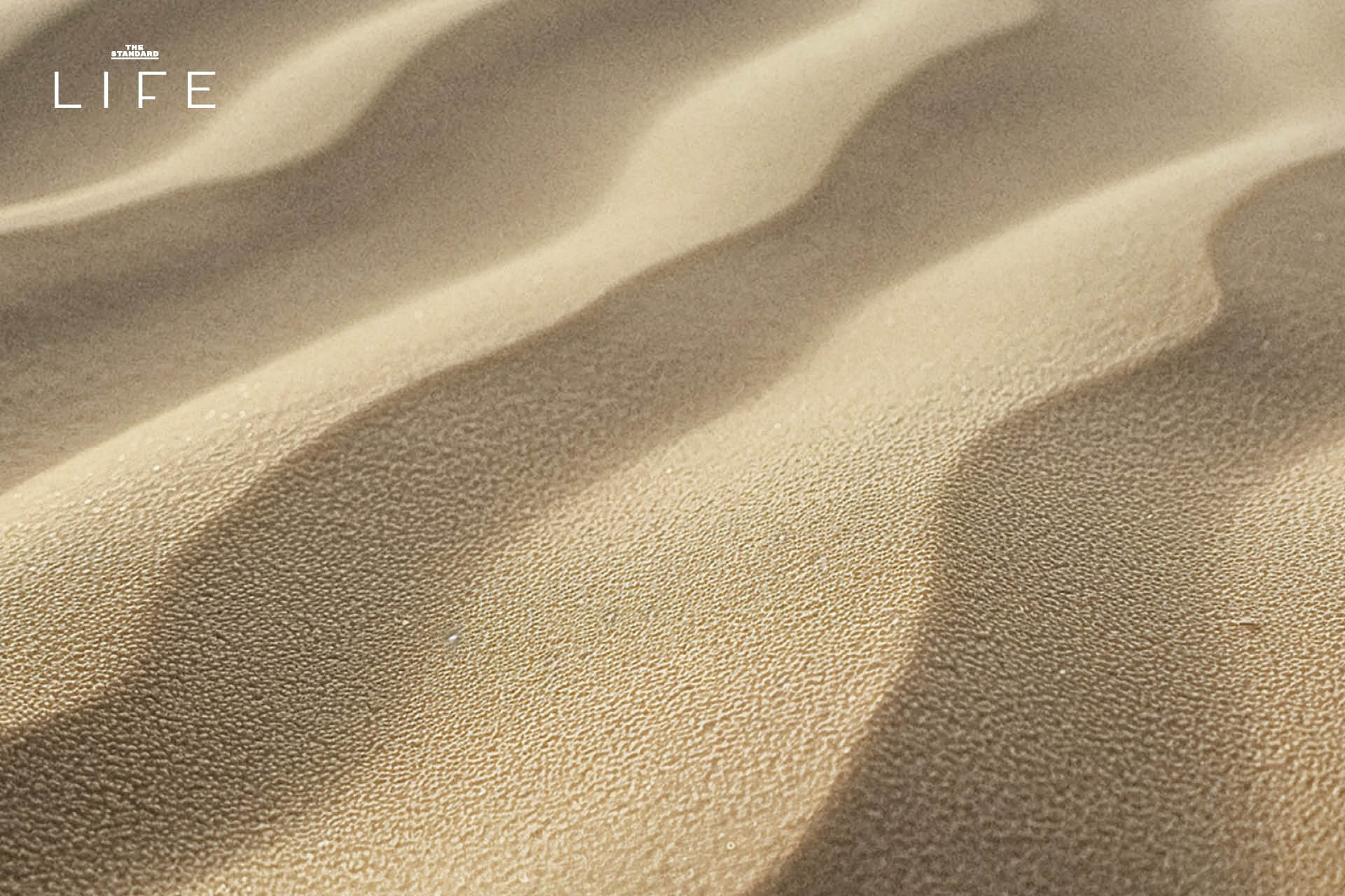 Technogym Sand Stone Collection มิติใหม่ของ Wellness สะท้อนความงามเหนือกาลเวลาผ่านวัสดุธรรมชาติ [Advertorial] 8