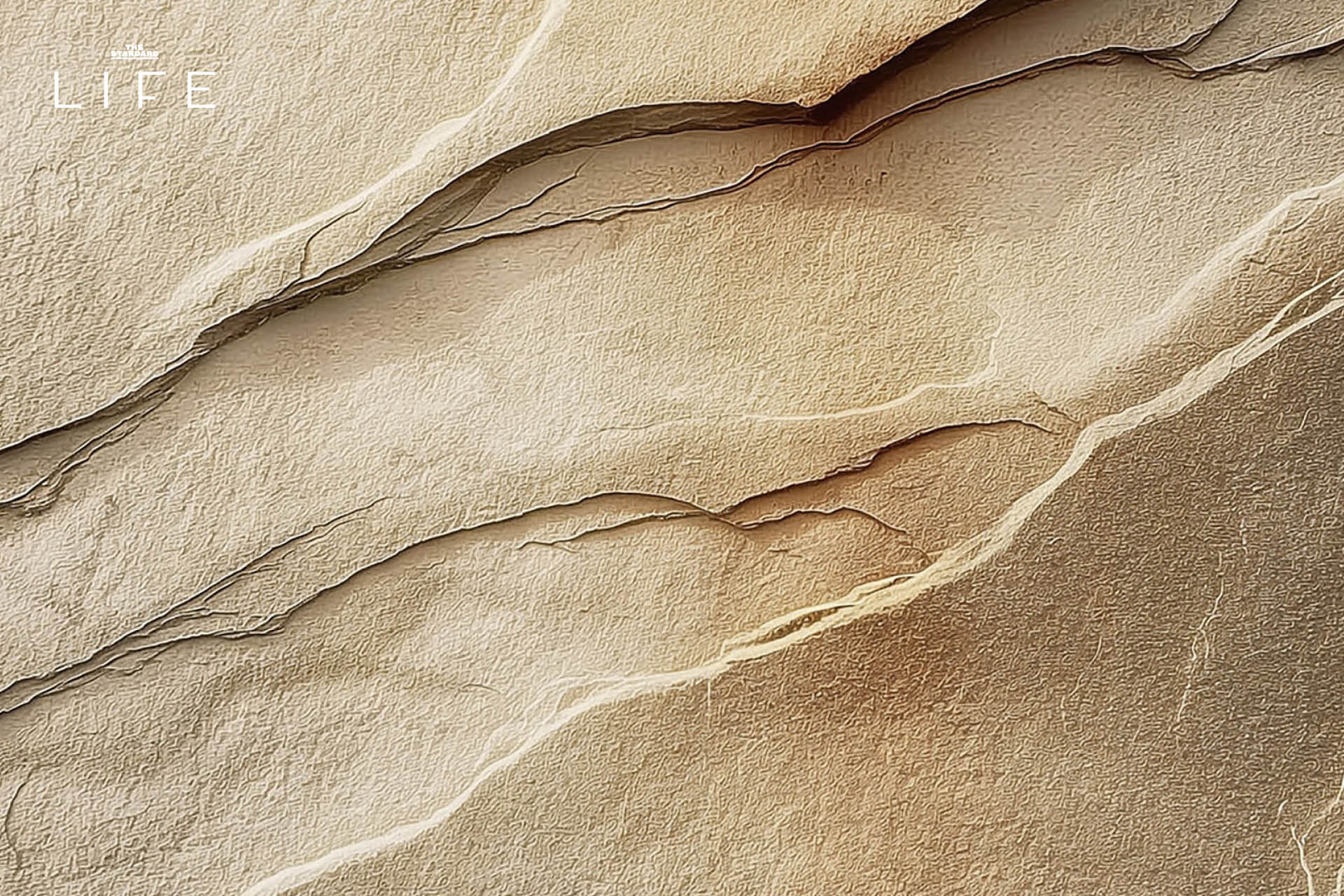 Technogym Sand Stone Collection มิติใหม่ของ Wellness สะท้อนความงามเหนือกาลเวลาผ่านวัสดุธรรมชาติ [Advertorial] 9