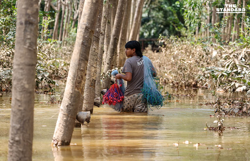 สำรวจ อ.เทพา จ.สงขลา น้ำท่วมก่อน แต่ลดทีหลัง 3