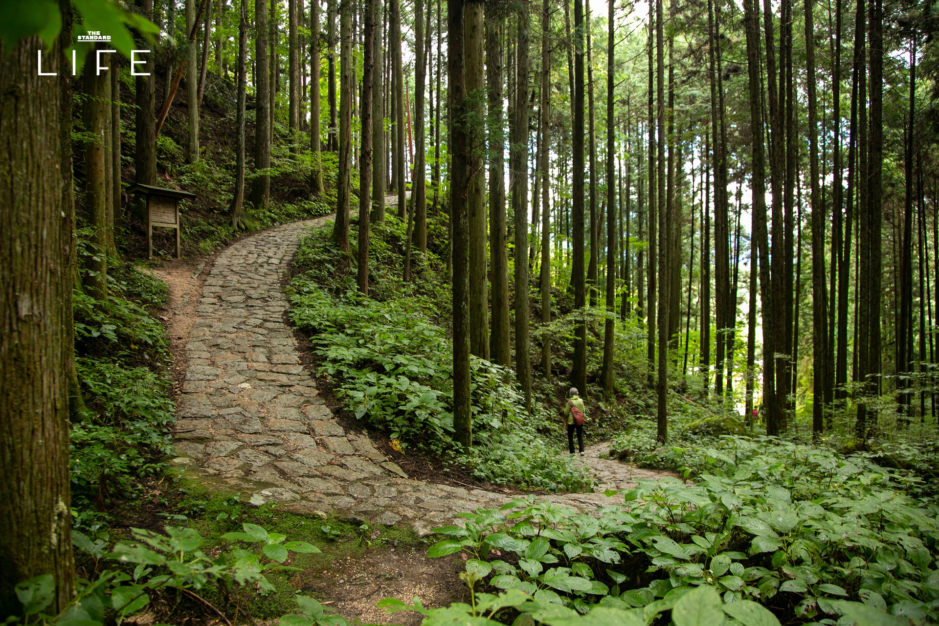 Travel Mode On ทำไมเราถึงรู้สึกอยากขยับร่างกายเวลาไปเที่ยว 2