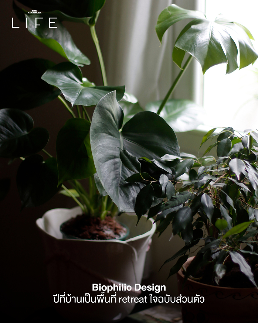 Update: ไลฟ์สไตล์คนเมืองปี 2025 เปลี่ยนอย่างไร? สรุป 25 ไฮไลท์สำคัญนิยามการใช้ชีวิตแบบใหม่ 8