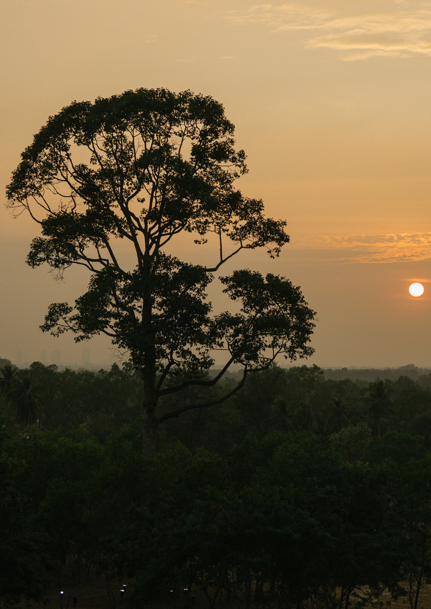 WONDERFRUIT 2025 ครบรอบ 10 ปี เทศกาลดนตรี วัฒนธรรม และชุมชน 1