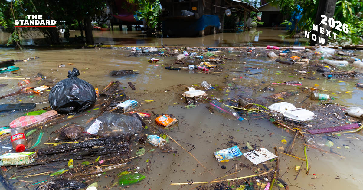 โลกเดือด ธรรมชาติเปลี่ยน และมนุษย์ต้องปรับตัว บทเรียนสิ่งแวดล้อมจากปี 2025 สู่ปี 2026