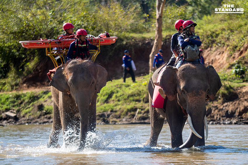 ครั้งแรกของโลก ฝึกกู้ภัยร่วม ‘ช้าง–สุนัข–มนุษย์’ ในการซ้อม TIMS 2025 ที่เชียงใหม่ 1