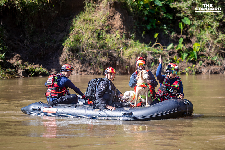 ครั้งแรกของโลก ฝึกกู้ภัยร่วม ‘ช้าง–สุนัข–มนุษย์’ ในการซ้อม TIMS 2025 ที่เชียงใหม่ 2