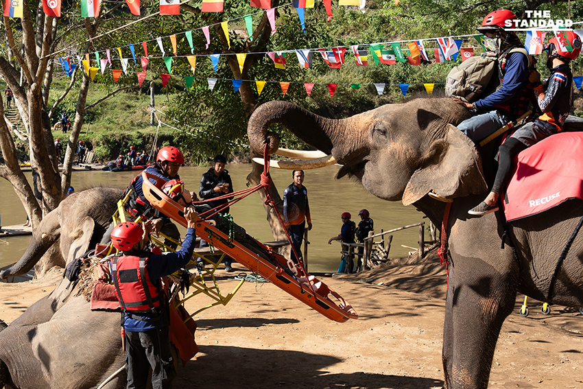 ครั้งแรกของโลก ฝึกกู้ภัยร่วม ‘ช้าง–สุนัข–มนุษย์’ ในการซ้อม TIMS 2025 ที่เชียงใหม่ 3