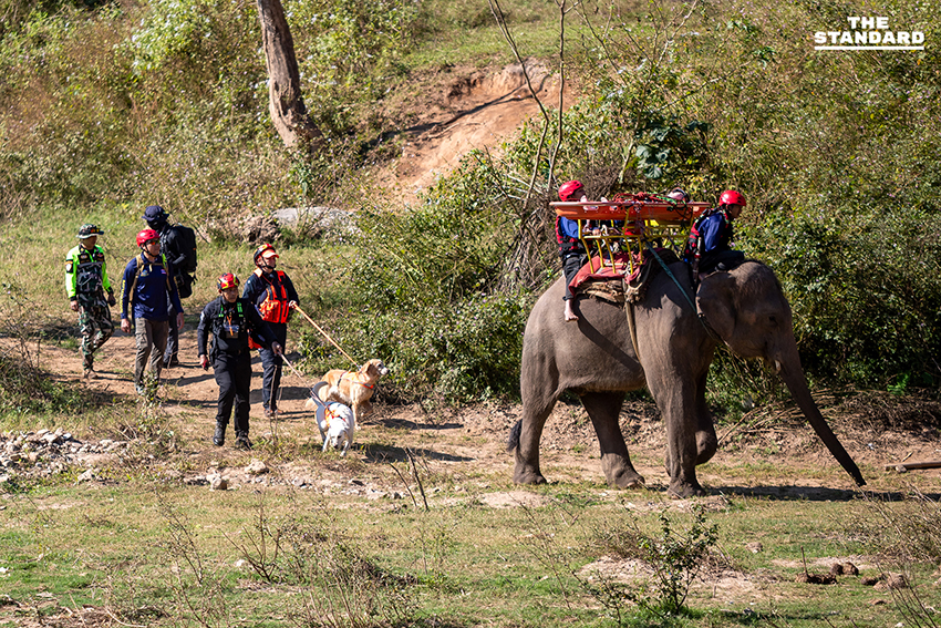 ครั้งแรกของโลก ฝึกกู้ภัยร่วม ‘ช้าง–สุนัข–มนุษย์’ ในการซ้อม TIMS 2025 ที่เชียงใหม่ 5