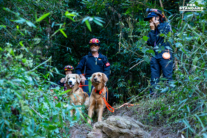 ครั้งแรกของโลก ฝึกกู้ภัยร่วม ‘ช้าง–สุนัข–มนุษย์’ ในการซ้อม TIMS 2025 ที่เชียงใหม่ 7