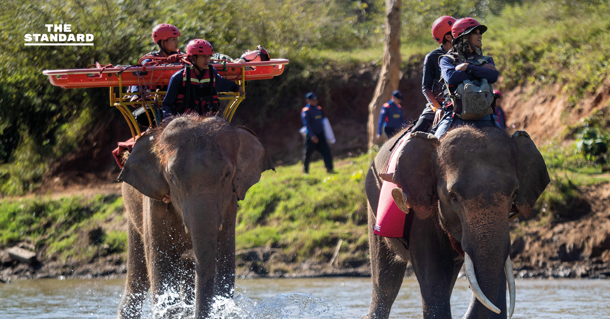 ครั้งแรกของโลก ฝึกกู้ภัยร่วม ‘ช้าง–สุนัข–มนุษย์’ ในการซ้อม TIMS 2025 ที่เชียงใหม่