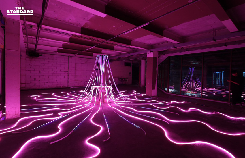 เริ่มแล้ว Awakening Bangkok 2025 เนรมิต 4 โซนพระนครด้วยแสงไฟ ภายใต้ธีม LOVEVERCITY 6