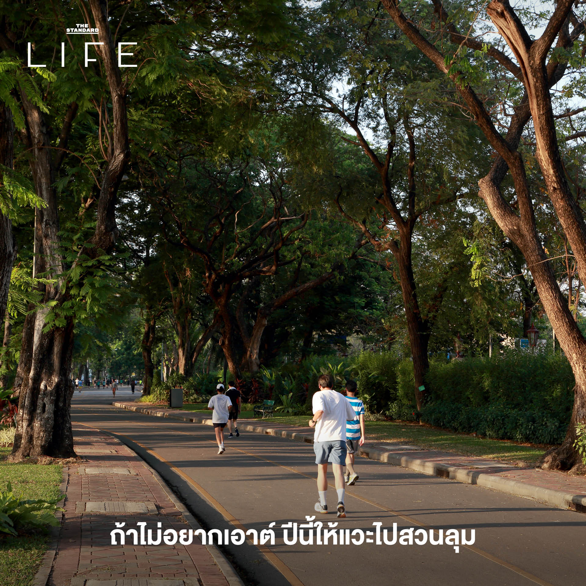 เทรนด์การใช้ชีวิต 2026, Mindful Living 2569