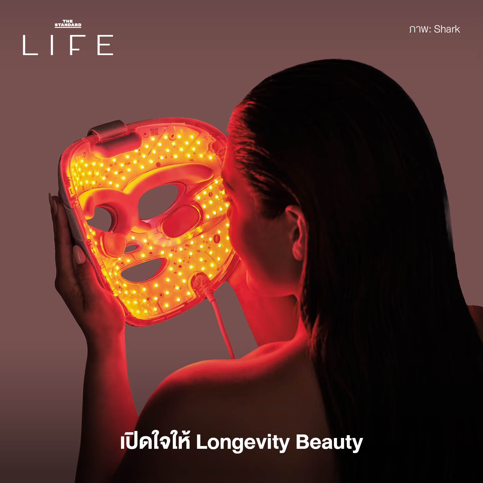 เทรนด์การใช้ชีวิต 2026, Mindful Living 2569