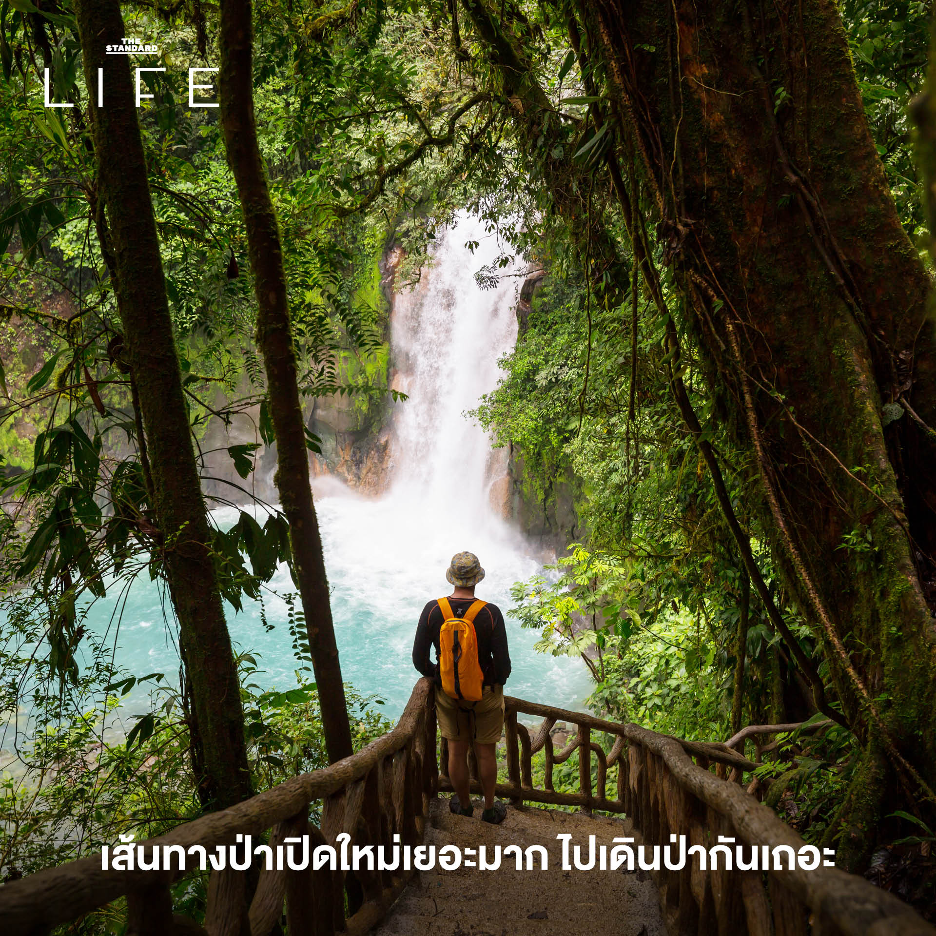 ทรนด์การใช้ชีวิต 2026, Mindful Living 2569