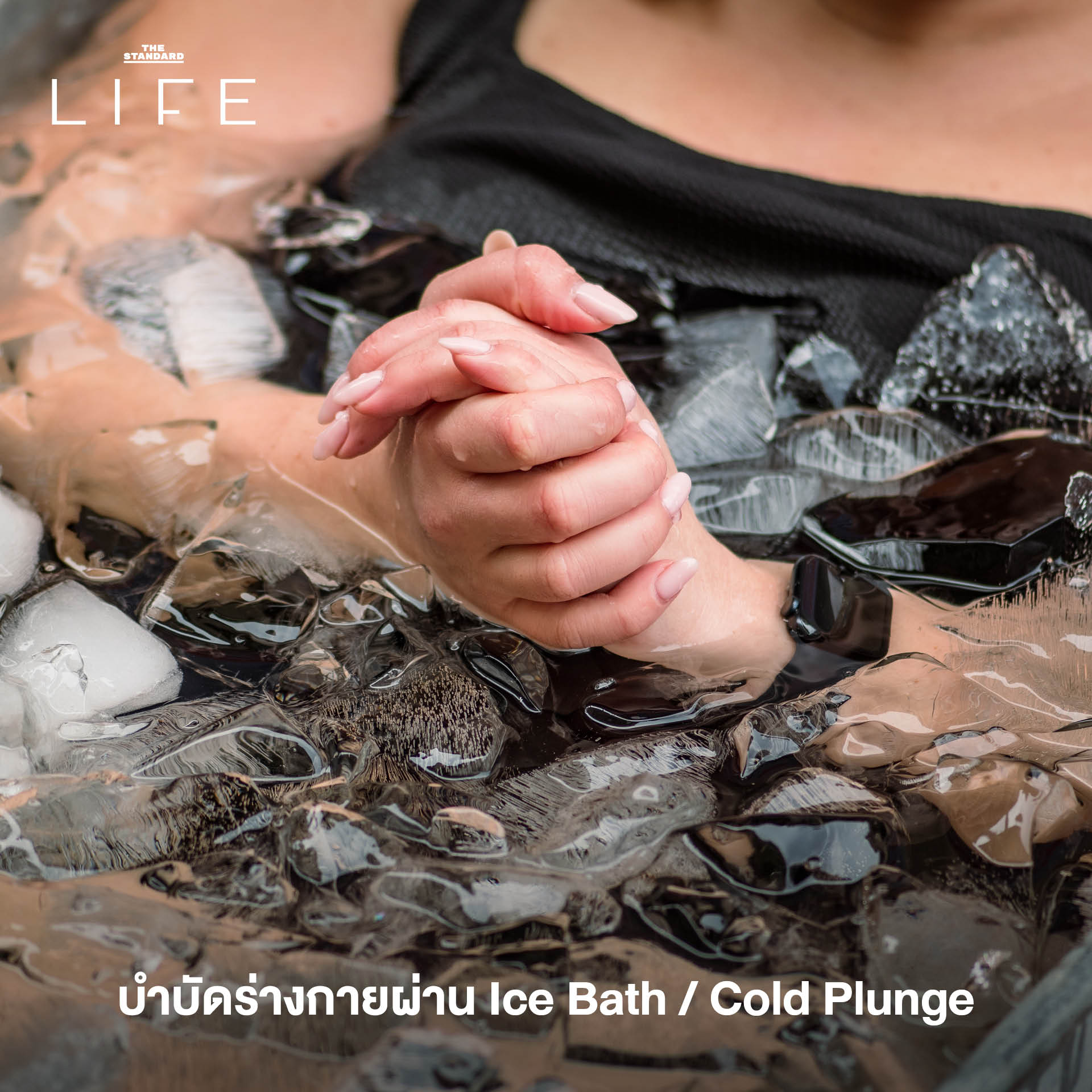 เทรนด์การใช้ชีวิต 2026, Mindful Living 2569