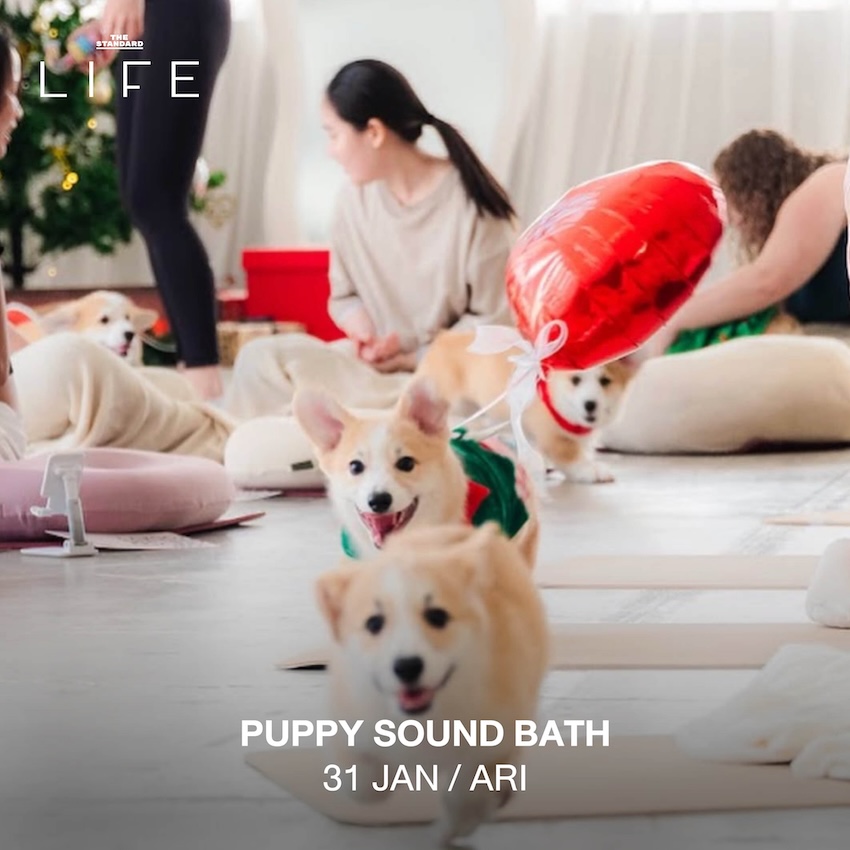 ภาพกิจกรรมไลฟ์สไตล์หลากหลายในกรุงเทพฯ เช่น ดนตรี งานดีไซน์ และวิ่งประจำสัปดาห์นี้ 5