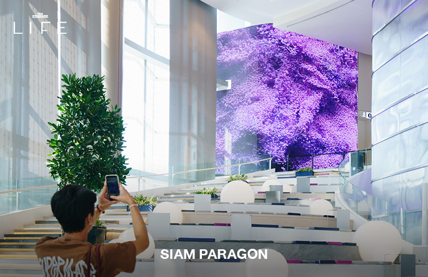 บรรยากาศงาน Bangkok Design Week 2026 ที่สยามพิวรรธน์เปลี่ยนพื้นที่สู่ย่านศิลปะและดีไซน์ 17