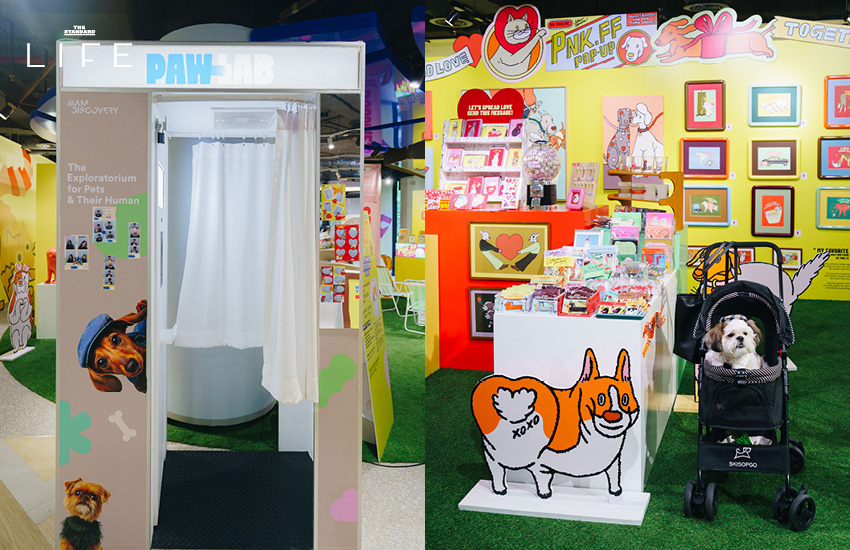 บรรยากาศงาน Bangkok Design Week 2026 ที่สยามพิวรรธน์เปลี่ยนพื้นที่สู่ย่านศิลปะและดีไซน์ 7