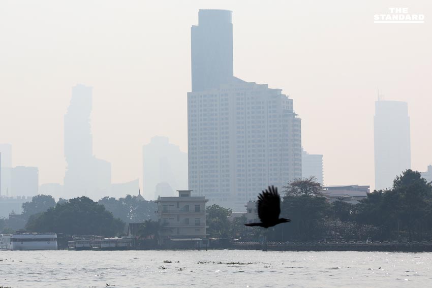 กทม. ฝุ่น PM2.5 พุ่งเกินมาตรฐาน 70 พื้นที่ เตือนประชาชนสวมหน้ากาก-เลี่ยงกิจกรรมกลางแจ้ง 4