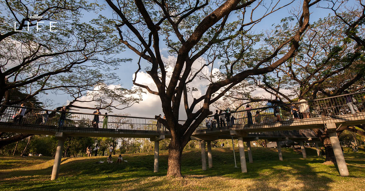 กทม. ชวน คนกรุง ‘ตรวจการบ้าน’ ปีที่ผ่านมา กรุงเทพฯ ได้อะไรกลับมาบ้าง