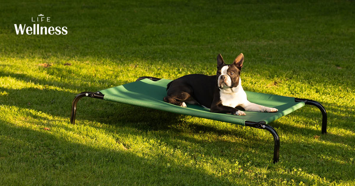 รู้จัก Gigíl โมเมนต์ความสุขจากสิ่งเล็กๆ ที่ทำให้หัวใจยังอ่อนโยน