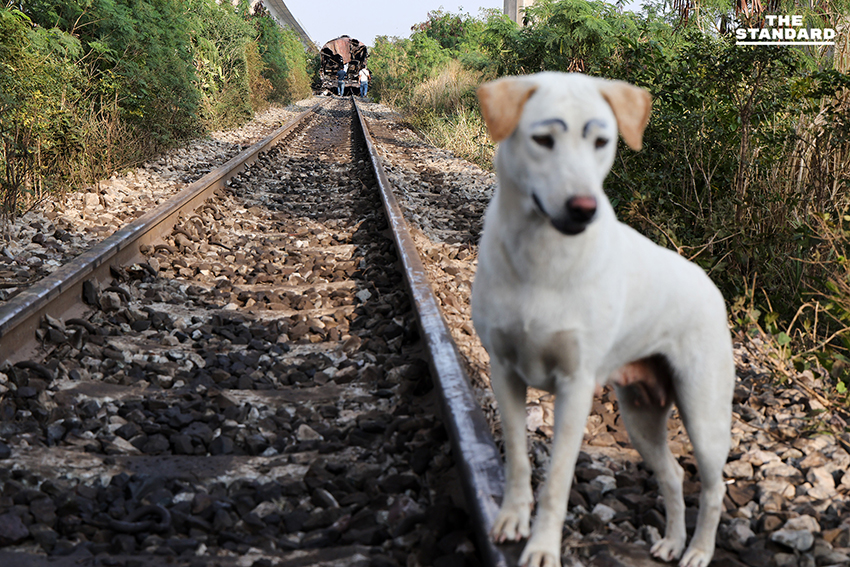 Based on the rule add a space before proper nouns that follow a verb, no changes are required for this specific headline, as none of the proper nouns directly follow a verb in the way specified. Here is the reformat (which is identical to the original based on the given rule): สรุปเหตุเครนรถไฟความเร็วสูงถล่มทับรถไฟสายอีสาน สธ. ระบุเสียชีวิต 31 ราย ตร.อายัดตัวคนขับสอบเข้ม 12