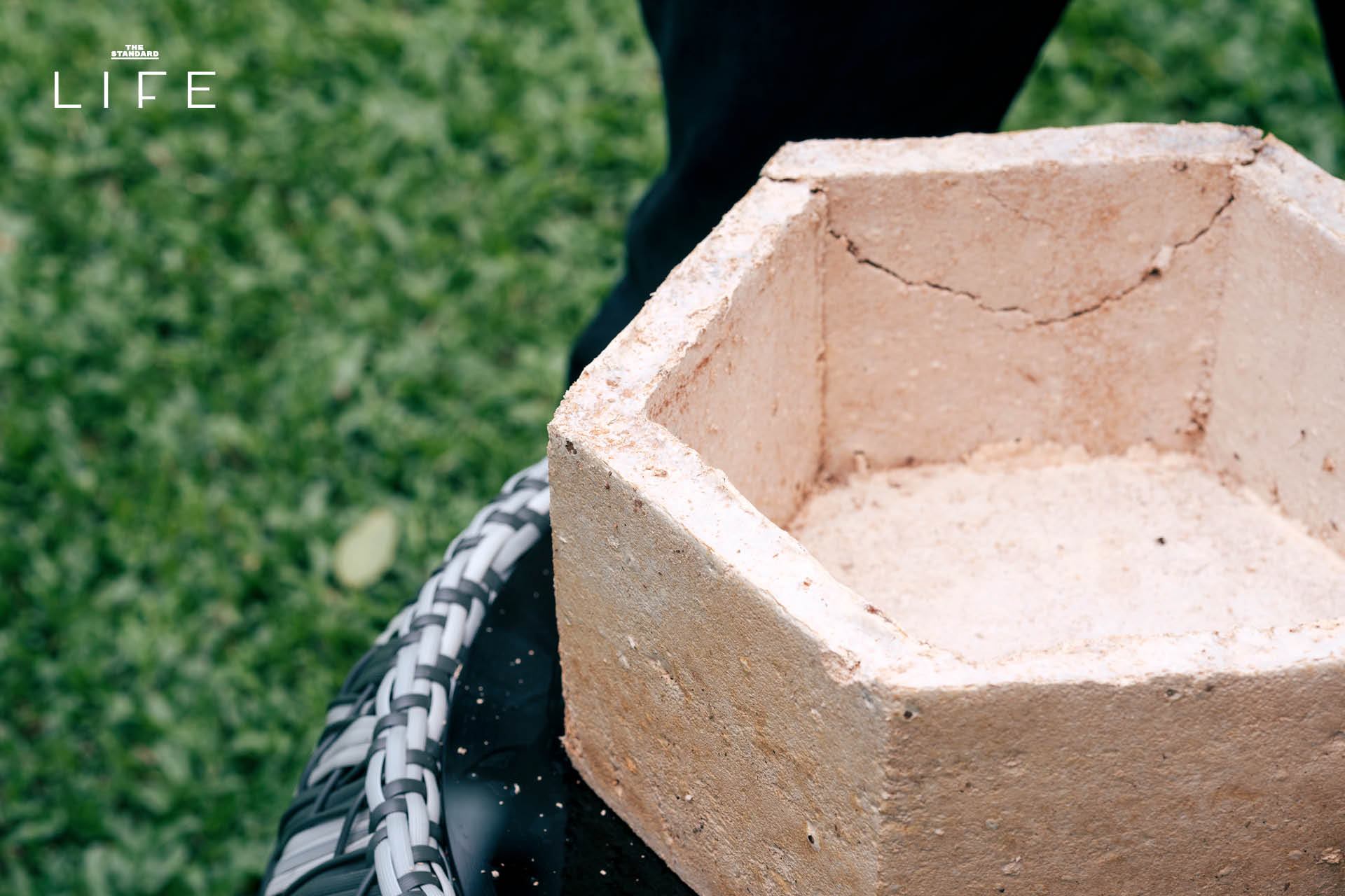 Mycelium Coffin โลงศพใยเห็ดสำหรับสัตว์เลี้ยงที่ผลิตจากวัสดุธรรมชาติ เป็นมิตรต่อสิ่งแวดล้อม 2