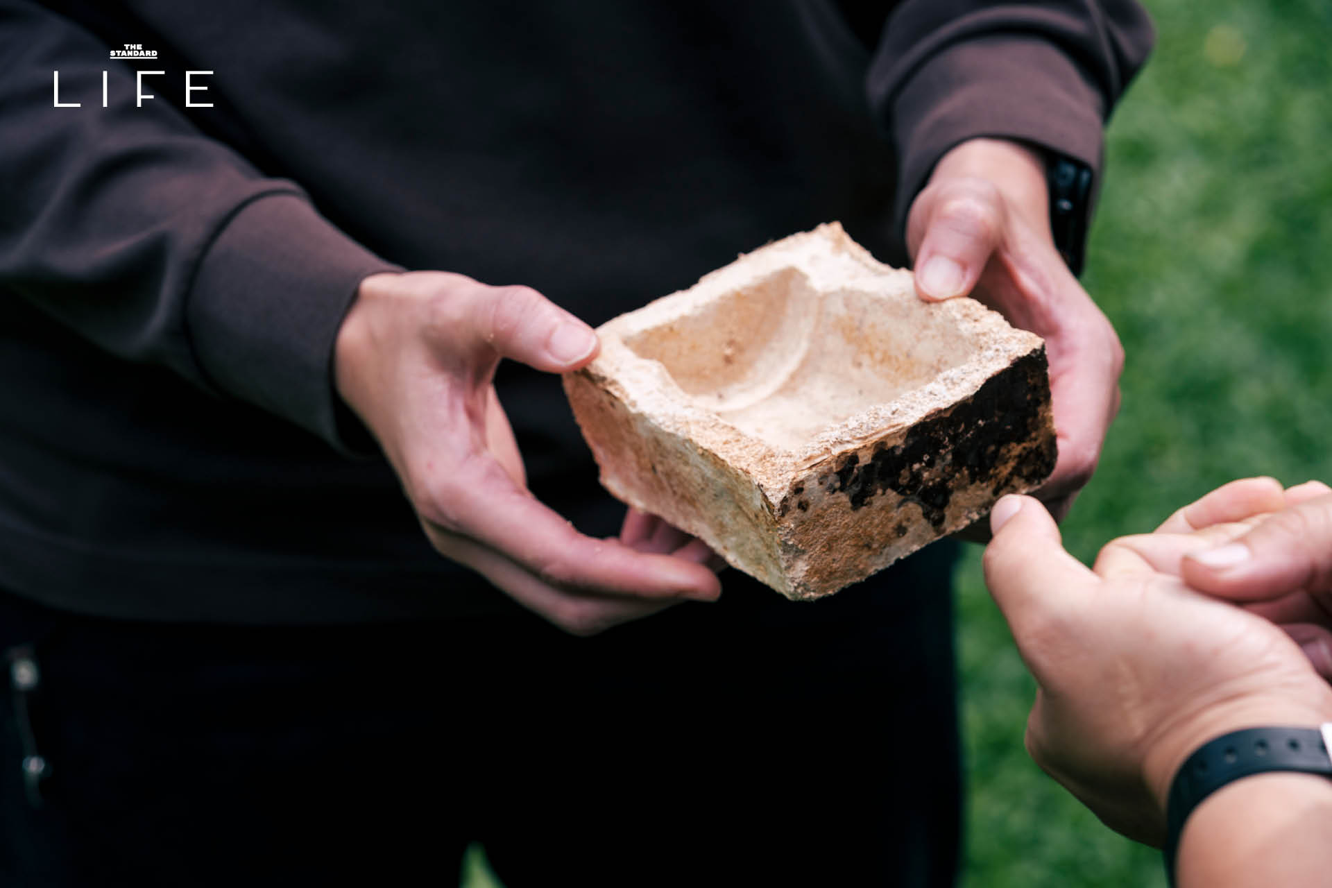 Mycelium Coffin โลงศพใยเห็ดสำหรับสัตว์เลี้ยงที่ผลิตจากวัสดุธรรมชาติ เป็นมิตรต่อสิ่งแวดล้อม 5