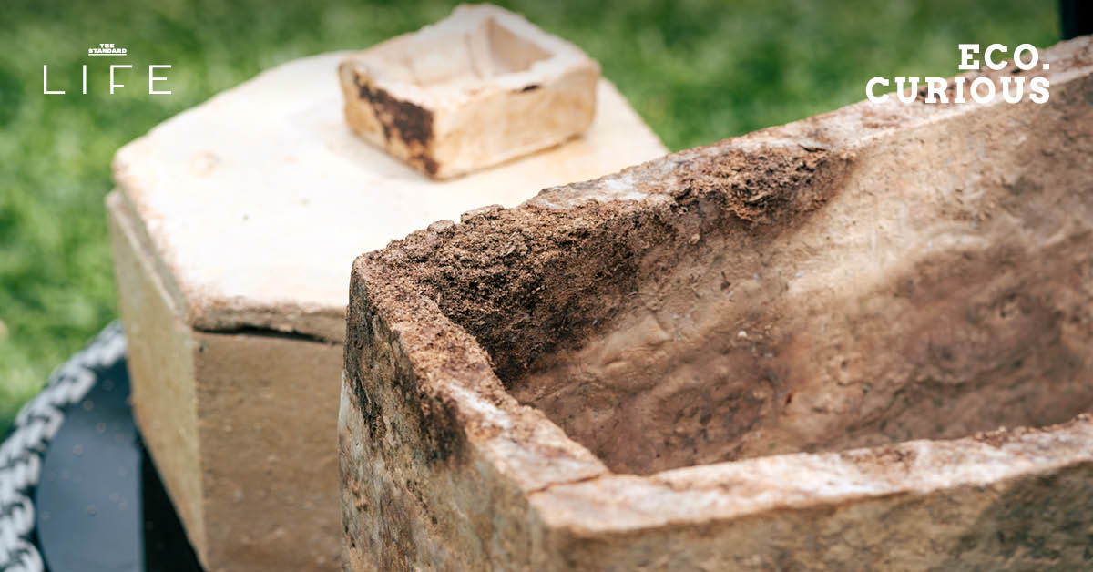 Mycelium Coffin โลงศพใยเห็ดสำหรับสัตว์เลี้ยงที่ผลิตจากวัสดุธรรมชาติ เป็นมิตรต่อสิ่งแวดล้อม