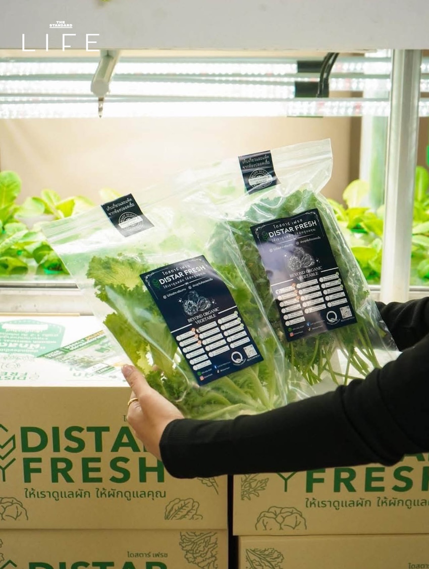 ภาพบรรยากาศงาน NEXTOPIA WELLNESS WEEK ณ สยามพารากอน แสดงกิจกรรมสุขภาวะแบบองค์รวมและผู้เข้าร่วมงาน 4