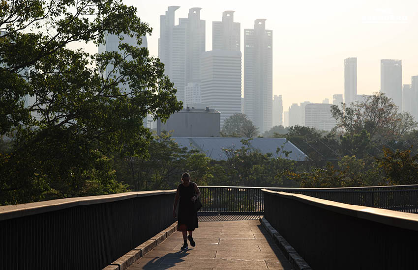 กทม. เฝ้าระวังฝุ่น PM 2.5 พุ่งเกินมาตรฐาน พบ บางรัก-ปทุมวัน ค่าฝุ่นสูงสุด เริ่มส่งผลกระทบต่อสุขภาพ 3