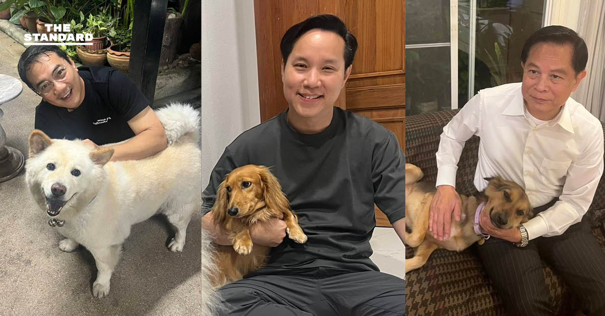 ภาพประกอบแสดงถึงนโยบายสัตว์เลี้ยงของพรรครวมไทยสร้างชาติ