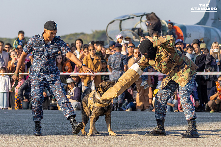 กองบิน 41 จัดงานวันเด็ก เชียงใหม่ 2569 เยาวชนแห่ร่วมกิจกรรมโชว์เครื่องบิน AT-6TH ทำจราจรติดขัด 8