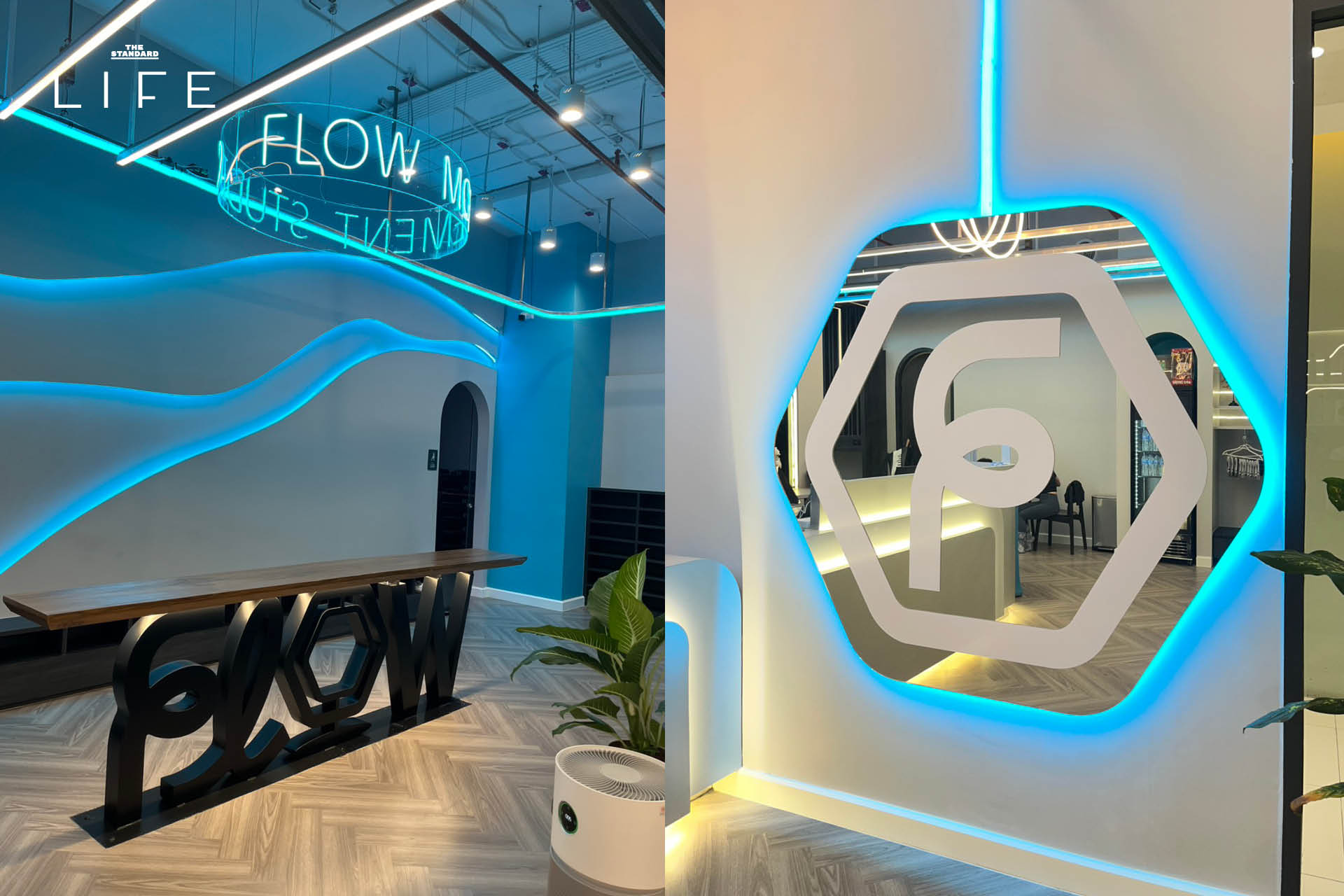 Flow Movement Studio