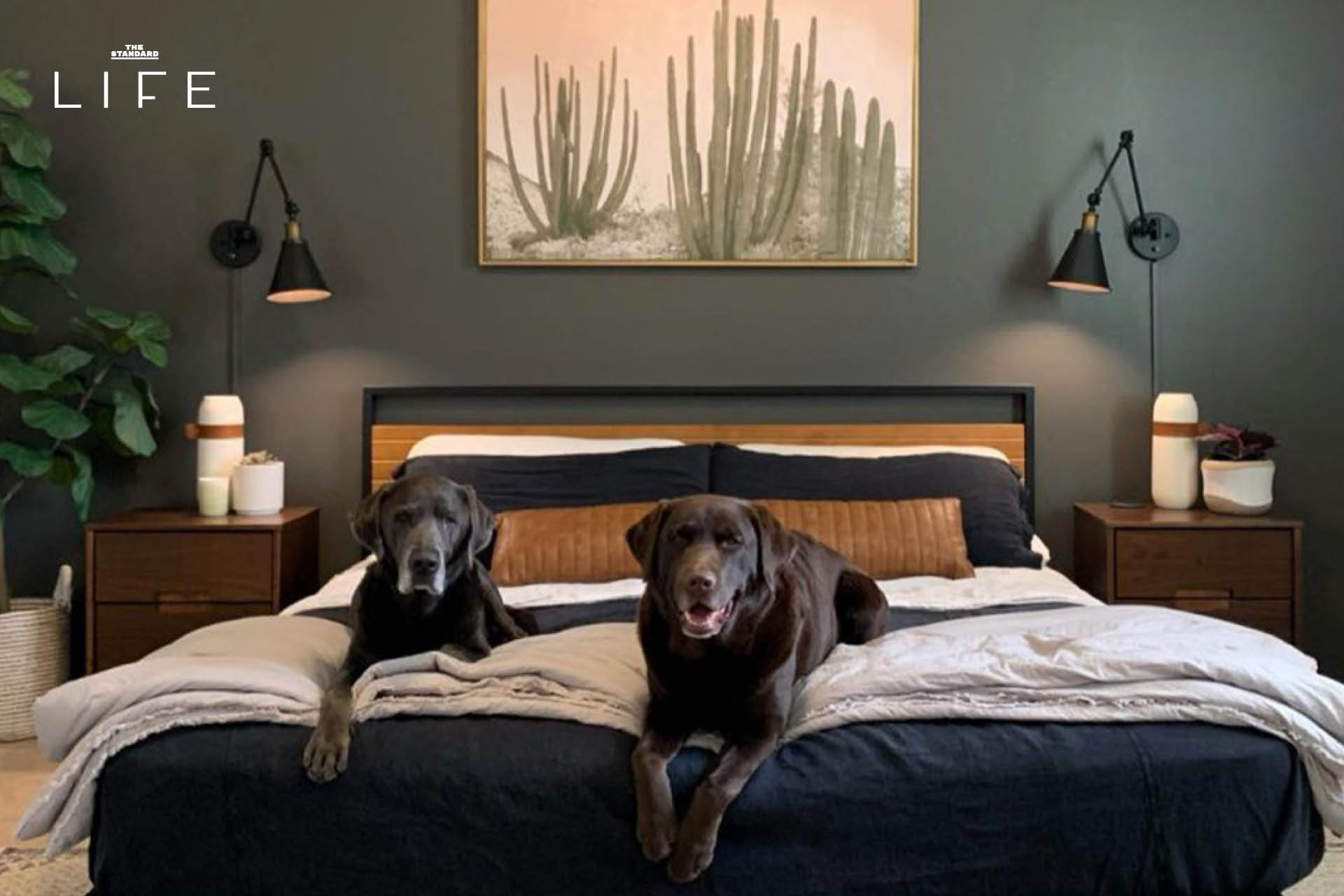 พาเลตสี Muted Green เฉดต่างๆ ที่เป็นเทรนด์สำหรับงานออกแบบปี 2026