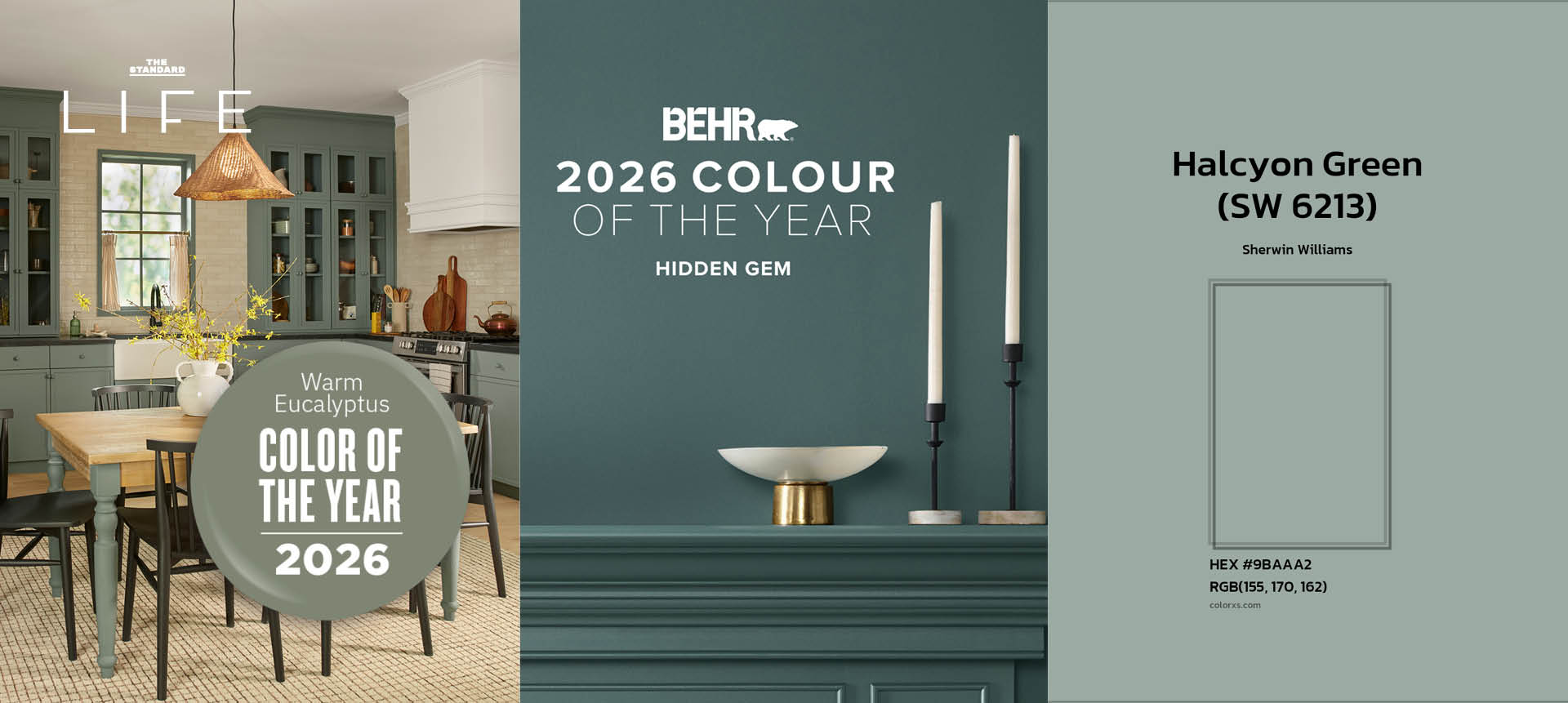 พาเลตสี Muted Green เฉดต่างๆ ที่เป็นเทรนด์สำหรับงานออกแบบปี 2026