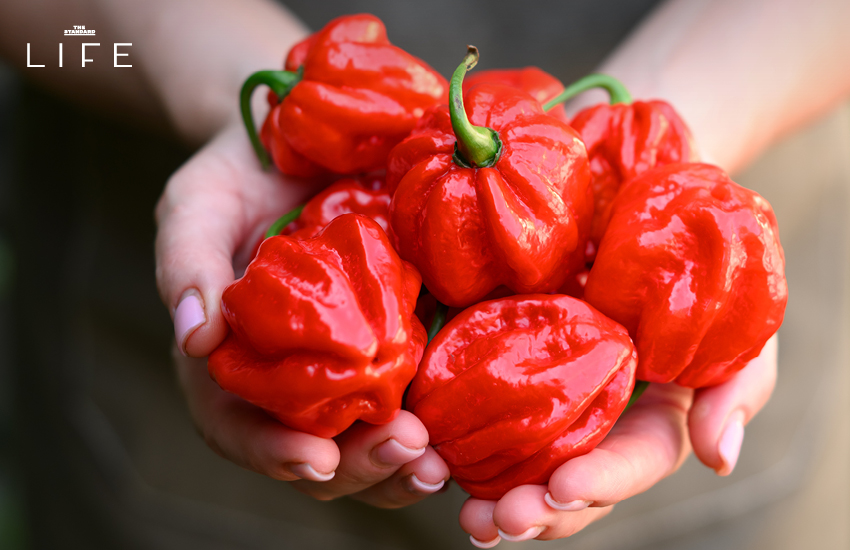 Swicy เทรนด์รสชาติปี 2026