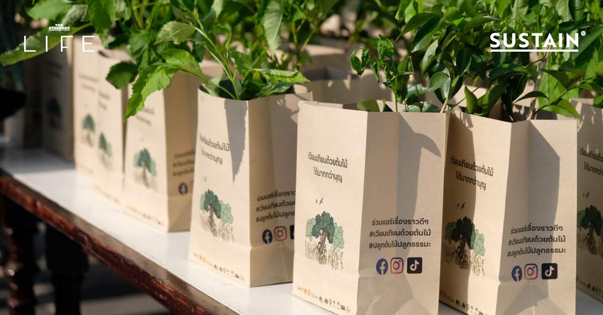 ภาพผู้คนกำลังเดินเวียนเทียนรอบโบสถ์โดยถือต้นกล้าเล็กๆ แทนธูปเทียนในกิจกรรมเวียนเทียนด้วยต้นไม้