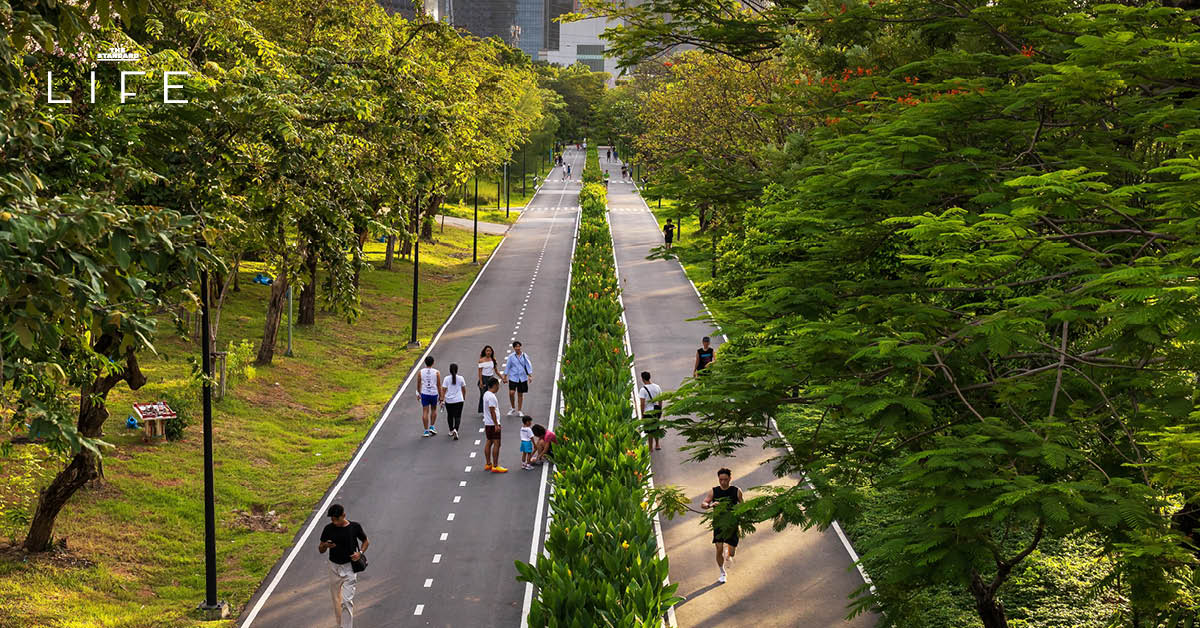 ภาพมุมสูงของกรุงเทพมหานครยามค่ำคืน สื่อถึงการสำรวจความคิดเห็นของชาวเมืองเพื่อการพัฒนา